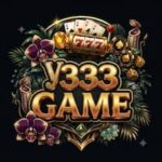 y333 Game logo image